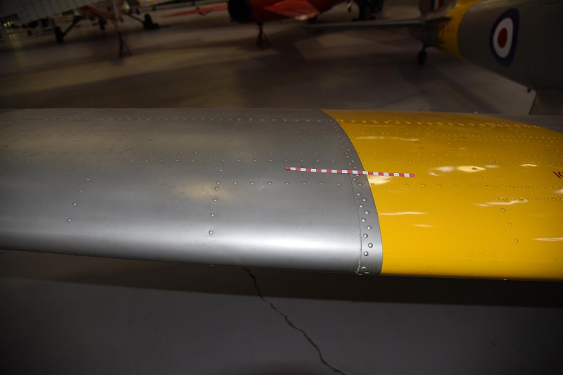 190215 Chipmunk WP912 0391.JPG