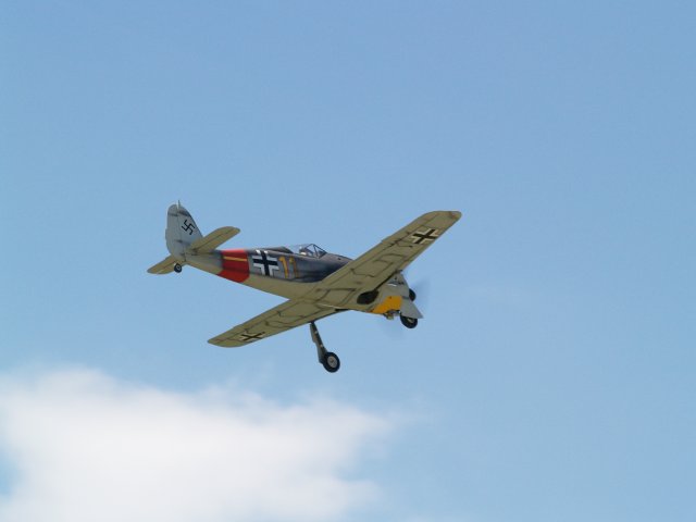 P7270397.jpg