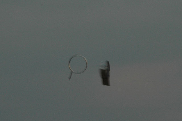 DSC_8242_640.jpg